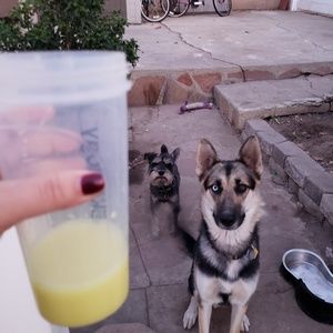 Meet your Posher, Grace